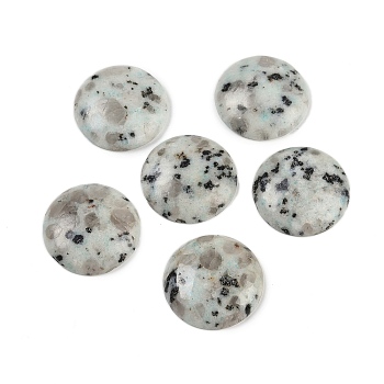 Natural Sesame Jasper Cabochons, Half Round/Dome, 25x5.5mm