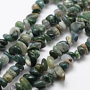 Natural Moss Agate Beads Strands, Dyed, Nuggets, 9~16x5~8mm, Hole: 1mm, 15.3 inch(39cm)(G-F521-10)