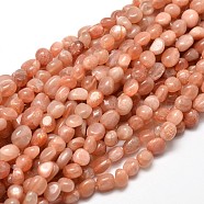 Natural Sunstone Nuggets Beads Strands, Tumbled Stone, Dyed, 5~10x6~7x3~7mm, hole: 1mm, about 14.9 inch~15.7 inch(G-J335-18)