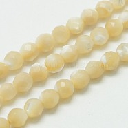 Natural Shell Beads Strands, Faceted, Round, Pale Goldenrod, 3mm, Hole: 0.8mm(G-K020-3mm-02)
