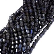 Natural Iolite Beads Strands, Faceted, Bicone, Double Terminated Point Prism Beads, 5~6x6mm, Hole: 0.7mm, about 67pcs/strand, 15.35 inch(39cm)(G-O201C-16)