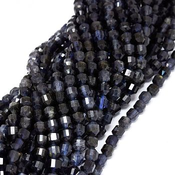 Natural Iolite Beads Strands, Faceted, Bicone, Double Terminated Point Prism Beads, 5~6x6mm, Hole: 0.7mm, about 67pcs/strand, 15.35 inch(39cm)