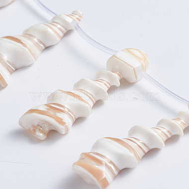 Natural Trochid Shell/Trochus Shell Beads Strands(SSHEL-L016-15)-3