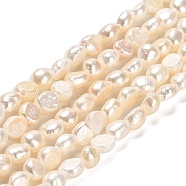 Natural Cultured Freshwater Pearl Beads Strands, Grade AAA, Two Sides Polished, Seashell Color, 5.5~6.5x4~5mm, Hole: 0.5mm, about 62pcs/strand, 14.17~14.37''(36~36.5cm)(PEAR-E016-111)