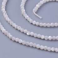 Shell Beads Strands, Faceted, Round, 2~2.3mm, Hole: 0.4mm, about 197pcs/strand, 15.55 inch(39.5cm)(SSHEL-E571-38-2mm)