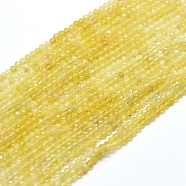 Natural Yellow Opal Gradient Beads Strands, Gradient Style, Round, Faceted, 3mm, Hole: 0.5mm, about 153pcs/strand, 15.35 inch(39cm)(G-D0013-12)