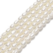 Natural Cultured Freshwater Pearl Beads Strands, Rice, Linen, 5~5.5x3.5~3.8mm, Hole: 0.5mm, about 70~71pcs/strand, 14.96''(38cm)(PEAR-J006-09A)