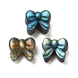 Natural Labradorite Carved Cabochons, Bowknot, 14.5x16.5x10mm(G-C152-02)