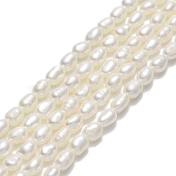 Natural Cultured Freshwater Pearl Beads Strands, Rice, Linen, 5~5.5x3.5~3.8mm, Hole: 0.5mm, about 70~71pcs/strand, 14.96''(38cm)(PEAR-J006-09A)