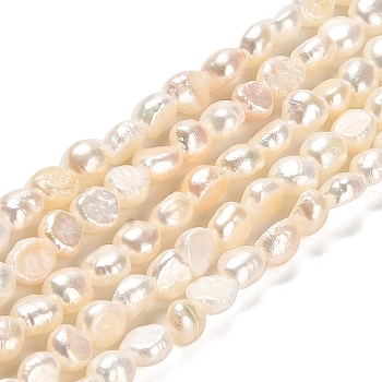 Natural Cultured Freshwater Pearl Beads Strands, Grade AAA, Two Sides Polished, Seashell Color, 5.5~6.5x4~5mm, Hole: 0.5mm, about 62pcs/strand, 14.17~14.37''(36~36.5cm)