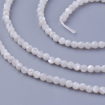 Shell Beads Strands, Faceted, Round, 2~2.3mm, Hole: 0.4mm, about 197pcs/strand, 15.55 inch(39.5cm)