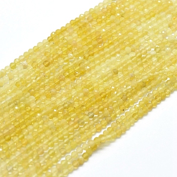 Natural Yellow Opal Gradient Beads Strands, Gradient Style, Round, Faceted, 3mm, Hole: 0.5mm, about 153pcs/strand, 15.35 inch(39cm)