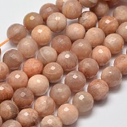 Faceted Round Natural Sunstone Beads Strands, 10mm, Hole: 1mm, about 38pcs/strand, 15.4 inch(G-I176-10-10mm)