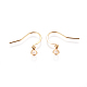 304 Stainless Steel Earring Hooks(X-STAS-I120-22A-G01)-2