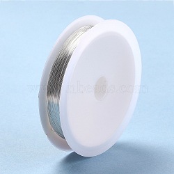 Copper Jewelry Wire, Long-Lasting Plated, Platinum, 28 Gauge, 0.3mm, about 65.61 Feet(20m)/roll(CWIR-CW0.3mm-24)