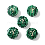 Synthetic Malachite Beads, with Golden Tone Brass Slices, Flat Round with Letter, Letter Y, 15x5mm, Hole: 1.4mm(G-A238-01Y)