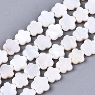 Natural Freshwater Shell Beads Strands, Flower, Seashell Color, 8x8x2.5mm, Hole: 0.6mm, about 46~48pcs/strand, 14.96 inch (38cm)(SHEL-S276-111)
