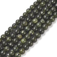 Natural Serpentine/Green Lace Stone Beads Strands, Round, 6mm, Hole: 1mm, about 60~62pcs/strand, 15.35 inch(G-S259-15-6mm-1)