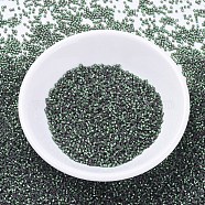MIYUKI Delica Beads, Cylinder, Japanese Seed Beads, 11/0, (DB0690) Dyed Semi-Frosted Silver Lined Leaf Green, 1.3x1.6mm, Hole: 0.8mm, about 10000pcs/bag, 50g/bag(SEED-X0054-DB0690)