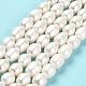 Natural Cultured Freshwater Pearl Beads Strands(PEAR-E016-088)-2