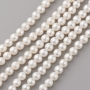 Natural Cultured Freshwater Pearl Beads Strands, Round, Old Lace, 7~8x6.5~7.5mm, Hole: 0.5mm, about 59pcs/strand, 15.7 inch(40cm)(PEAR-G007-24-01)