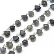 Natural Labradorite Beads Strands, Faceted Teardrop, 13~14x10~11mm, Hole: 1mm, about 28pcs/strand, 15.7 inch(G-R435-15G)