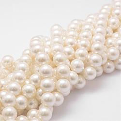 Shell Pearl Bead Strands, Grade A, Round, Floral White, 14mm, Hole: 1mm, about 28~29pcs/strand, 16 inch(BSHE-L026-03-14mm)