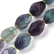 Natural Fluorite Beads Strands, Faceted, Oval, with Seed Beads, 12~16x10~14mm, Hole: 1mm, about 22~25pcs/strand, 15.16''~15.63''(38.5~39.7cm)(G-P541-A01-04)