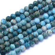 Natural Apatite Beads Strands, Faceted, Round, 5.5~6mm, Hole: 0.7mm, about 65pcs/strand, 15.35 inch(39cm)(G-I279-E22-01)