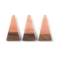 Resin & Wood Pendants, Triangle Charms, Light Salmon, 28.5x14x3.5mm, Hole: 1.6mm(WOOD-F015-03G)