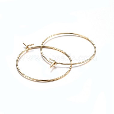 316 Surgical Stainless Steel Hoop Earrings(X-STAS-P210-26G-02)-2