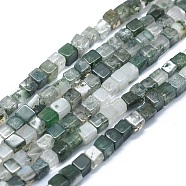 Natural Moss Agate Beads Strands, Cube, 3~4.5x3~4.5x3~5mm, Hole: 0.8~1mm, about 89~97pcs/strand, 15.1~15.5 inch(38.5~39.5cm)(G-F631-C01)