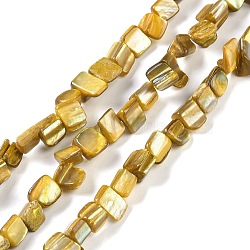 Dyed Natural Freshwater Shell Beads Strands, Nuggets, Light Khaki, 7.5~9x9.5~15x5~9mm, Hole: 0.9mm, about 42~50pcs/strand, 14.45''~14.76''(36.7~37.5cm)(SHEL-P016-01F)