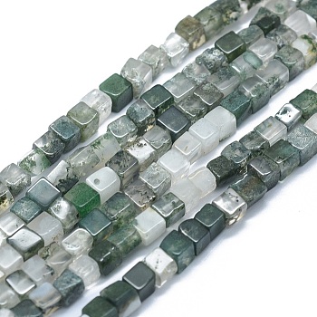 Natural Moss Agate Beads Strands, Cube, 3~4.5x3~4.5x3~5mm, Hole: 0.8~1mm, about 89~97pcs/strand, 15.1~15.5 inch(38.5~39.5cm)