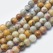 Natural Crazy Lace Agate Beads Strands, Round, 8mm, Hole: 2mm, about 48pcs/strand, 15.3 inch(G-K287-15-8mm)