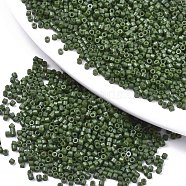 11/0 Grade A Glass Seed Beads, Cylinder, Uniform Seed Bead Size, Baking Paint, Dark Green, 1.5x1mm, Hole: 0.5mm, about 2000pcs/10g(X-SEED-S030-1021)