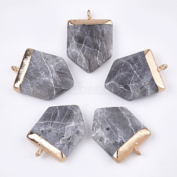 Electroplate Natural Labradorite Pendants, with Iron Findings, Faceted, Pentagon, Golden, 28~31x20~21x6~8mm, Hole: 1.8mm(G-T112-14C)