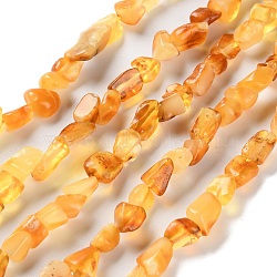 Natural Amber Beads Strands, Nuggets, Tumbled Stone, 4.5~11.5x3~7x3.5~6mm, Hole: 1~1.2mm, about 48~68pcs/strand, 15.35~15.94''(39~40.5cm)(G-P497-01C-04)