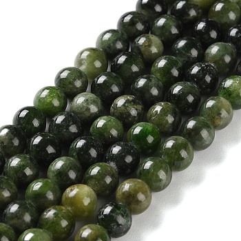 Natural Green Diopside Beads Strands, Round, 6mm, Hole: 1mm, about 66pcs/strand, 15.35''(39cm)