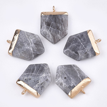 Electroplate Natural Labradorite Pendants, with Iron Findings, Faceted, Pentagon, Golden, 28~31x20~21x6~8mm, Hole: 1.8mm