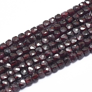 Natural Garnet Beads Strands, Faceted, Cube, 3~4x3~4x3~4mm, Hole: 0.6mm, about 98~108 pcs/Strand, 15.55 inch(39.5cm)(G-D0003-B09)