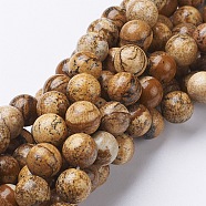 Natural Gemstone Beads Strands, Picture Jasper, Round, 10mm, Hole: 1mm, about 37~39pcs/strand, 15.5 inch(GSR10mmC016)