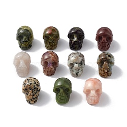 Gemstone Display Decoration, for Home Office Tabletop, Skull, 18~23x17~23.5x23~26mm(G-C022-01)