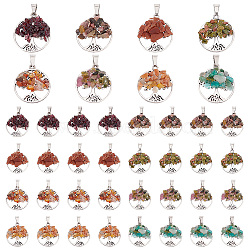 Elite 8Pcs 8 Styles Natural & Synthetic Mixed Stone Chip Pendants, with Platinum Tone Alloy Findings, Flat Round with Life of Tree Charm, 29x25x4~6mm, Hole: 4x7mm, 1pc/style, 8pcs/set, 4 sets/box(G-PH0002-14)