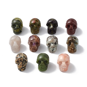 Gemstone Display Decoration, for Home Office Tabletop, Skull, 18~23x17~23.5x23~26mm