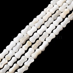 Natural Freshwater Shell Beads Strands, Peanut, Seashell Color, 5.5~6x3~3.5mm, Hole: 0.5mm, about 65~66pcs/strand, 14.57~15.16''(37~38.5cm)(SHEL-A006-04A)