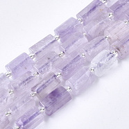 Natural Amethyst Beads Strands, Faceted, Column, 8~11x6~8x5~7mm, Hole: 1mm, about 15~17pcs/strand, 7.28~7.48 inch(G-S345-8x11-015)