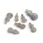 Natural Labradorite Beads, No Hole/Undrilled, Frosted, Cucurbit, 16~24.5x6.5~13x4.5~8mm(G-I274-29)