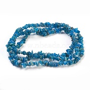Natural Apatite Beads Strands, Chip, 4~18x3~10mm, Hole: 0.5mm, 31.5 inch(80cm)(X-G-F575-08)