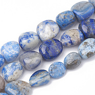 Natural Lapis Lazuli Beads Strands, Tumbled Stone, Nuggets, 10~25x11~18x4~14mm, Hole: 1mm, about 22~24pcs/strand, 16.5 inch(G-S299-89)